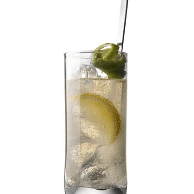Citrus Spritzer