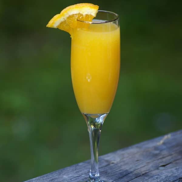 Mimosa