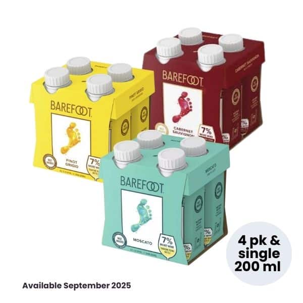 New Product Template Barefoot Tetras new product template barefoot tetras