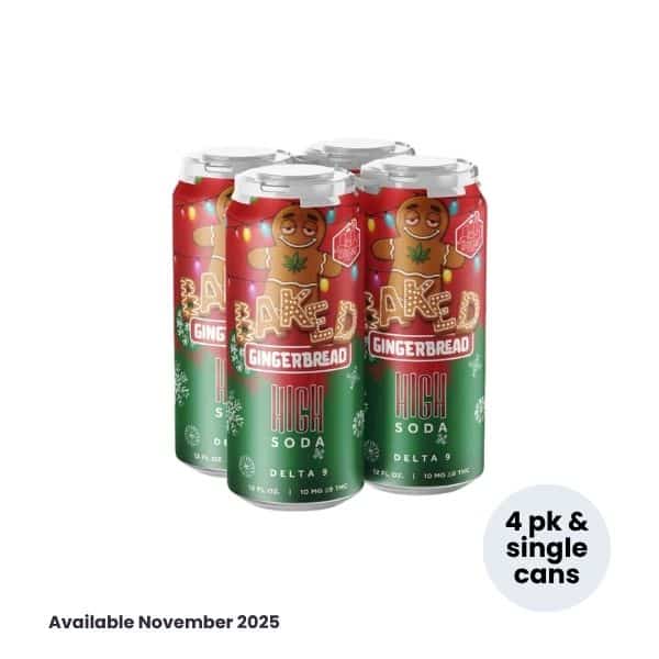 Gingerbread Soda New Product Template gingerbread soda new product template